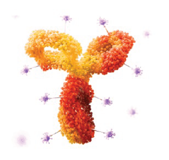 Debiopharm presented preclinical data on three linker technologies at World ADC